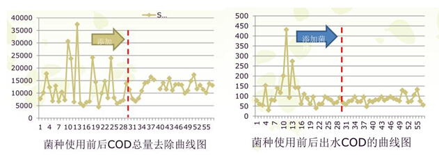 微生物激活菌使用